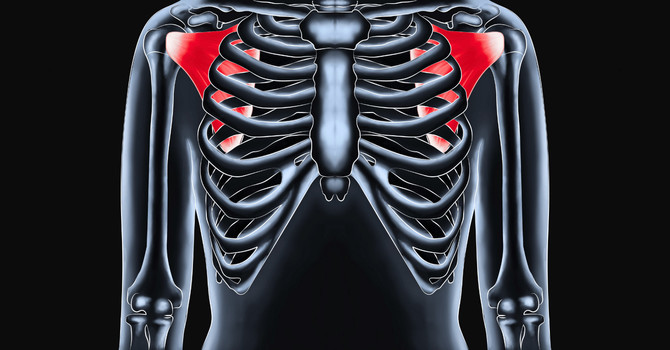 Why Your Shoulder Still Hurts (And the Forgotten Muscle No One in Springfield, MO Talks About)